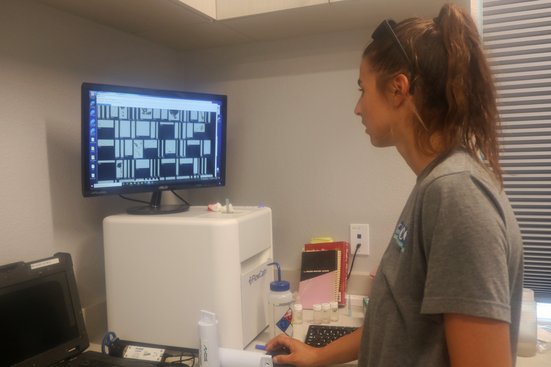 A woman in a gray t-shirt stands in front of a monitor in a lab with her hand on the mouse.